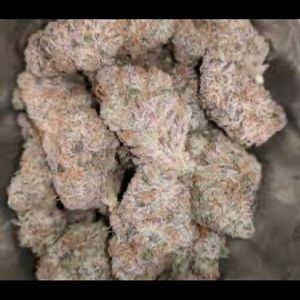 Meet your Posher, Rob